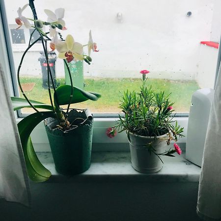 La Toskana Apartment Ihr Rueckzugsort Am Regen Zeitlarn Eksteriør bilde