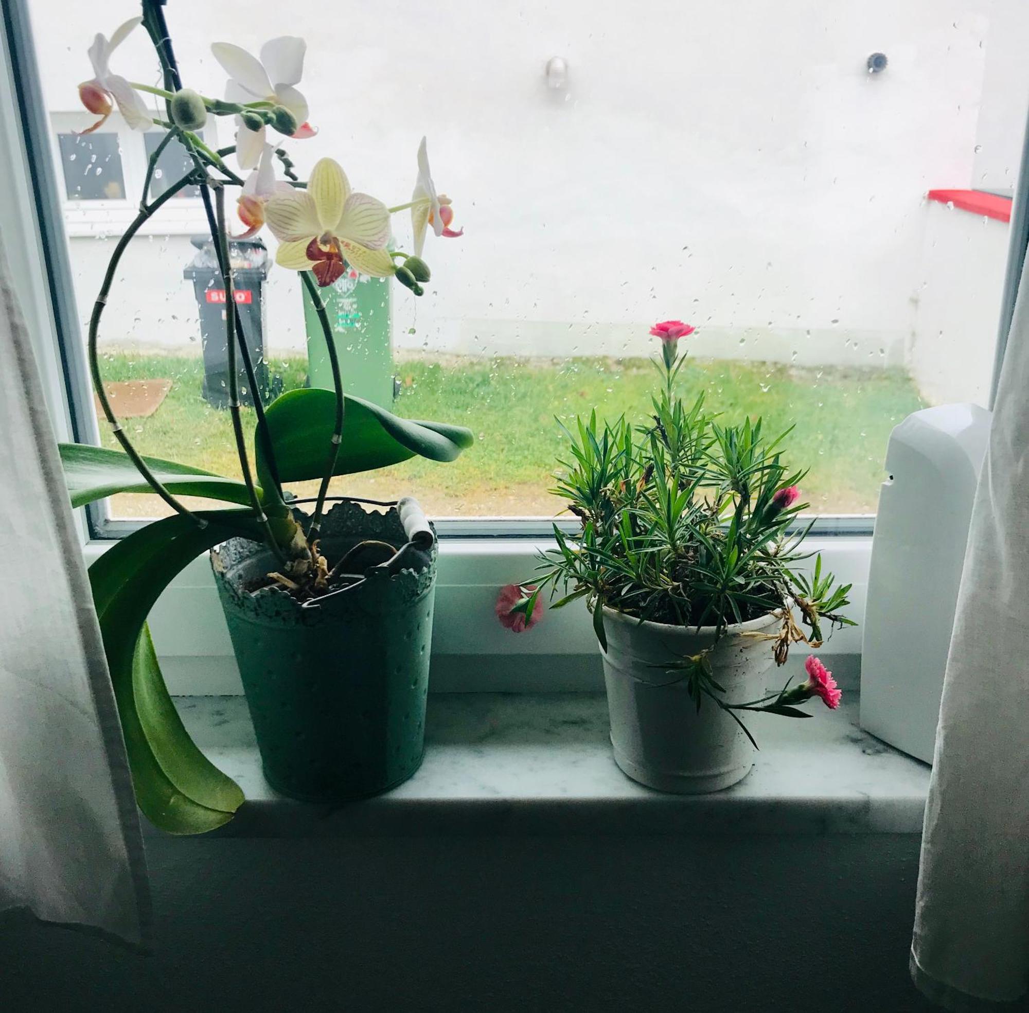 La Toskana Apartment Ihr Rueckzugsort Am Regen Zeitlarn Eksteriør bilde